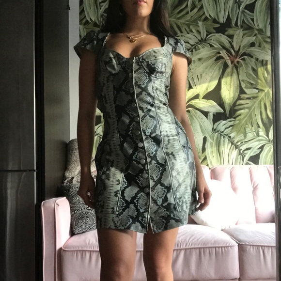 Miaou Snakeskin Button Up Bustier Dress - Picture 2 of 6